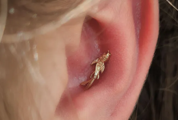 inkorporated amsterdam conch piercing - 2