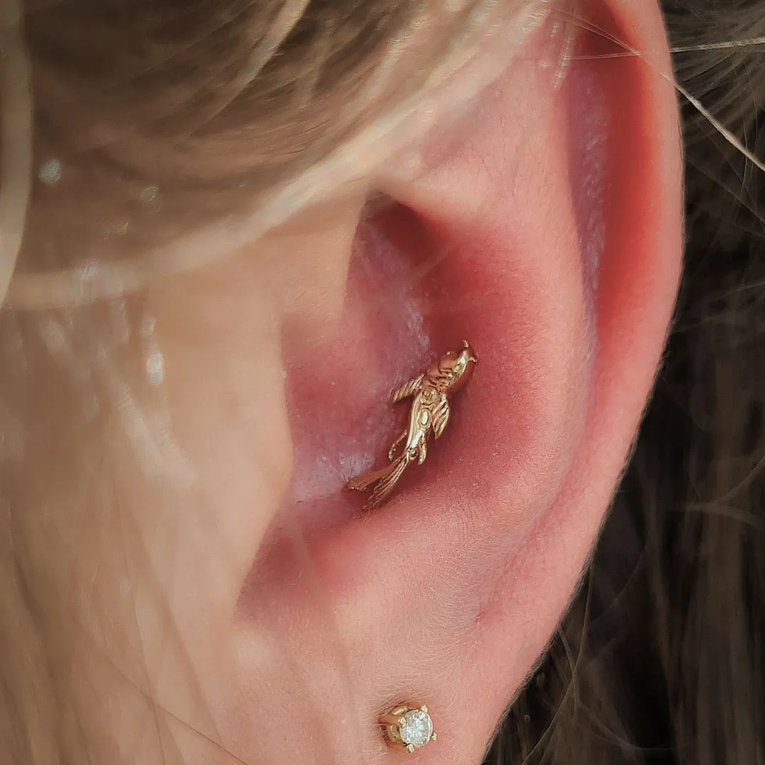 Conch Piercing: Everything You Need to Know About Pain, Healing, and Aftercare